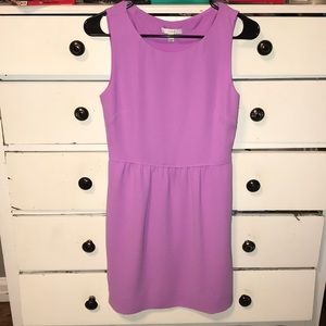 Gorgeous J. Crew Dress